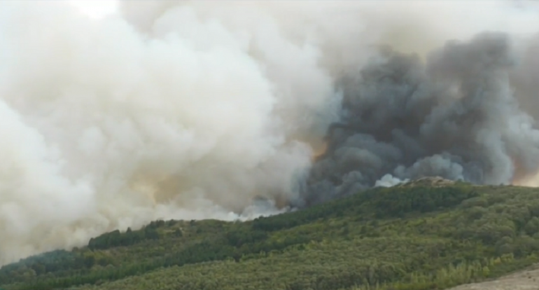 Голям пожар гори край три населени места в Бургаско. По