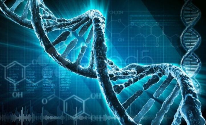 Учени направихаважна крачканапред в разбирането на човешкия геном,дешифрирайки напълно загадъчнатаY-хромозома