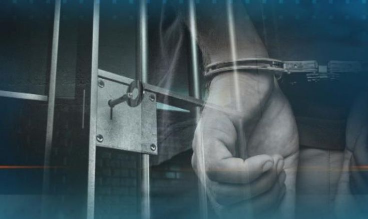 Тринадесет души бяха арестувани в събота във връзка с горски