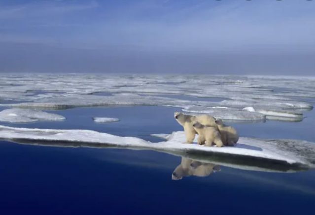 Със затоплянето на света и продължаващото топене на ледниците Арктика