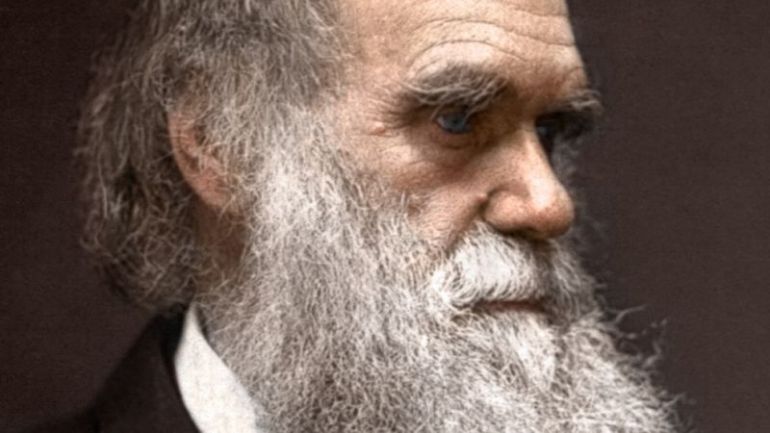 Чарлз Дарвин, генни инженери, Дарвиновата теория, произход на човека