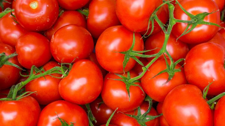 Турция ще продължи да изнася домати Забраната която беше наложена