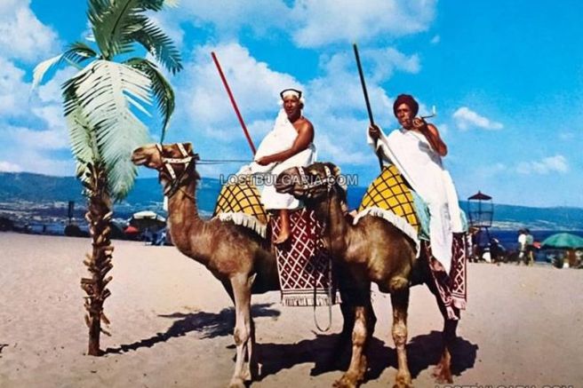 атракция с камили на Слънчев бряг през 70-те години