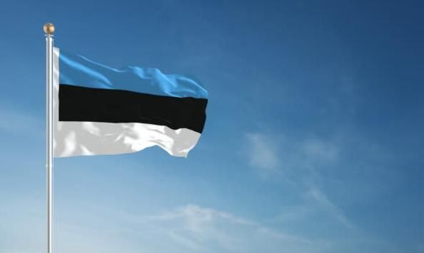 Естония прие закон за използването на замразени руски активи в
