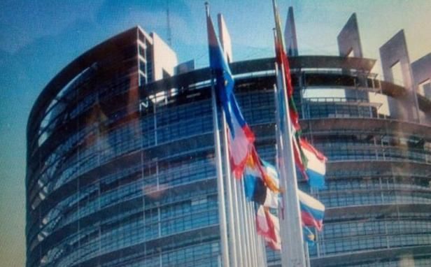 Комисията по външни работи на Европейския парламент AFET беше информирана