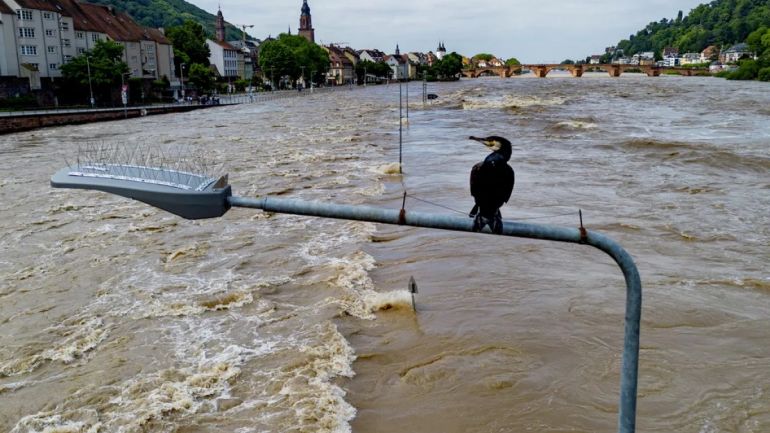 Ситуацията в наводнените райони на Южна Германия остава сложна Придошлите