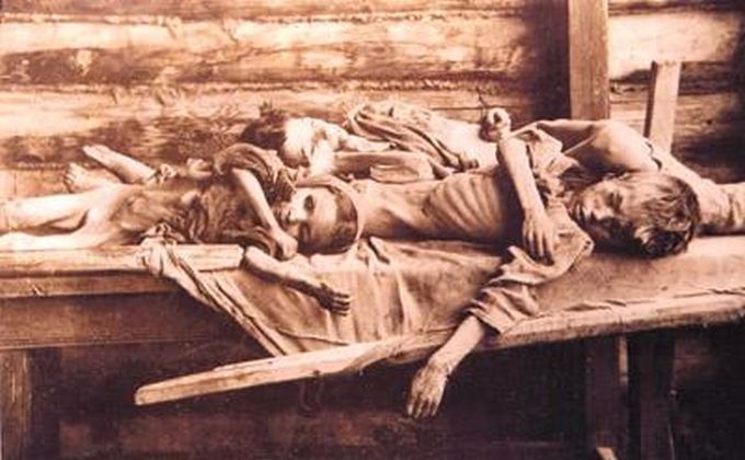 Гладът в Украйна през 1932 1933 година изиграва ключова роля за