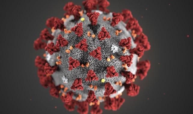 Новите потвърдени случаи на коронавирус у насза последното денонощие са328.Направени