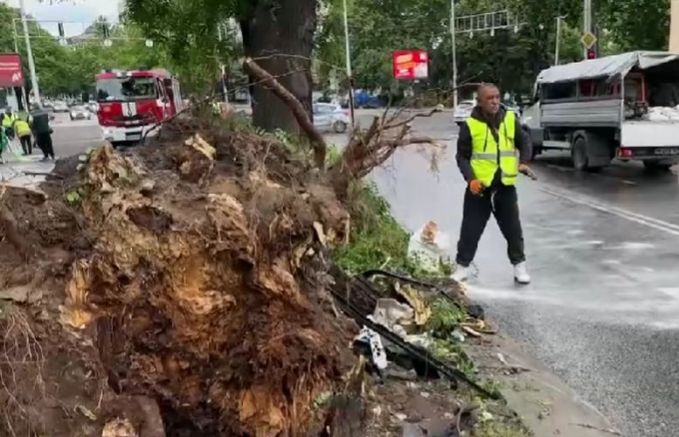 Жестока катастрофа е станала тази нощ в Пловдив а други