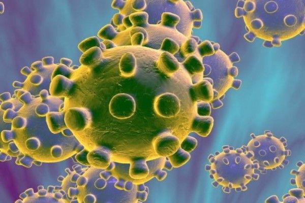 618 са случаи на коронавирус в страната  през последното денонощие