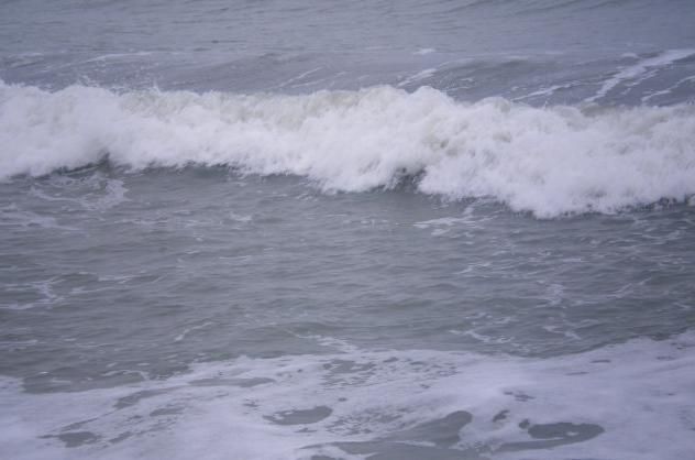 МОСВ засилва мониторингана крайбрежните морски води във връзкас разрушаването на