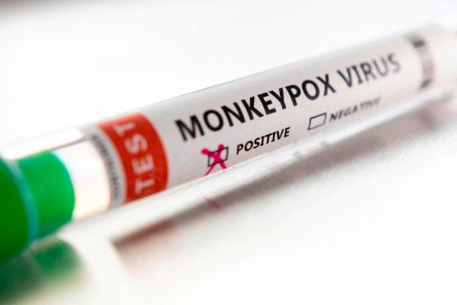 Вирусът на маймунската едра шарка мутира по-бързо, отколкото се очакваше