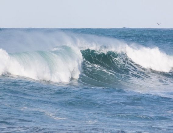 39-годишен софиянец се е удавил на плажа в Иракли вчера