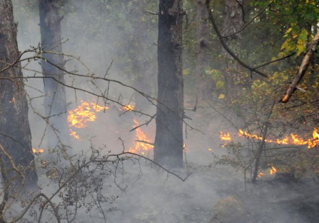 След 11 дни на продължаващи пожари в Гърция, запалително устройство