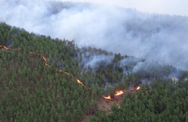 Голям пожар пламна на остров Тасос, където има хиляди български