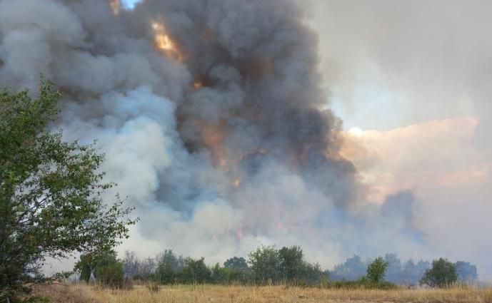 Горски пожар се разрази днес в турския средиземноморски окръг Анталия