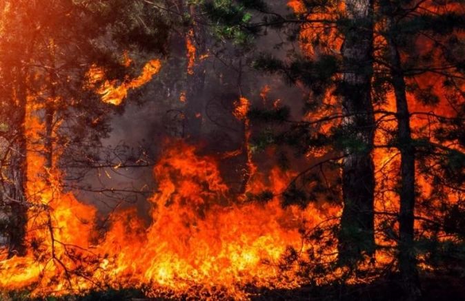 Горски пожар до град Навпактос наложи по спешност евакуирането на