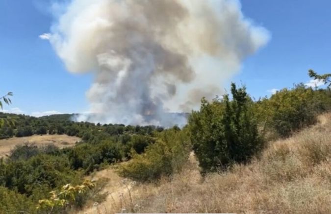 Община Ивайловград обяви бедствено положение зарадиголемия горски пожар между селата
