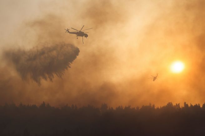 Общата площ изгоряла през тазгодишния сезон на горските пожари достигна
