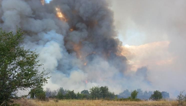 Пожар на площ между 200 и 300 декара гори в