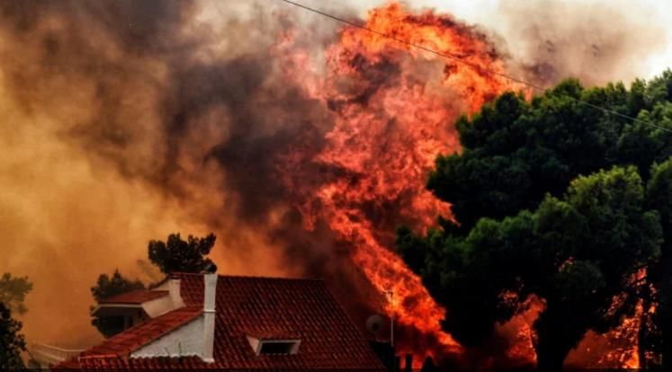 Пожарникари се борят с горски пожари на много места в