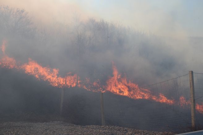 Огромен пожар бушува край Дупница, горят около 300 декара сухи