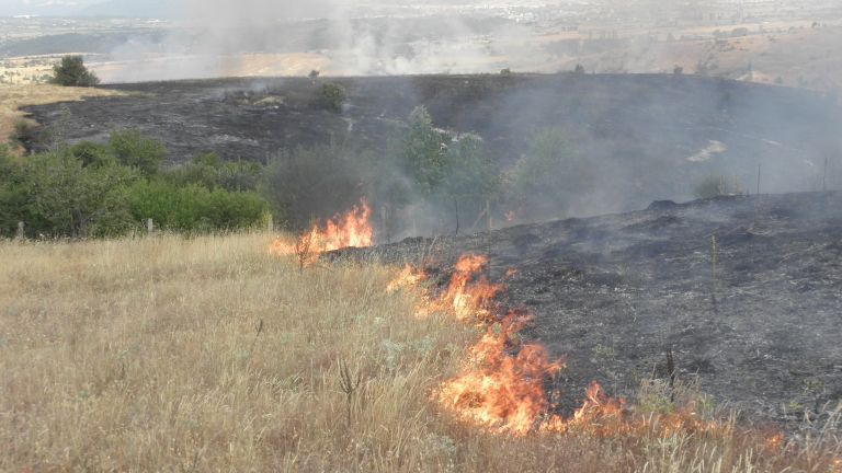 Днес през деня възникнаха 74 пожара на територията на страната.