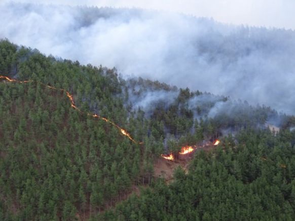 Нови територии превзе пожарът на българо гръцката граница в района на