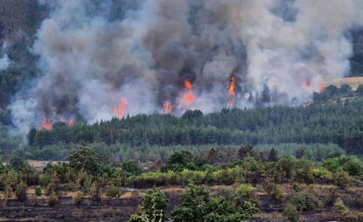 Пожарът край панагюрското село Елшица е овладян, но все още