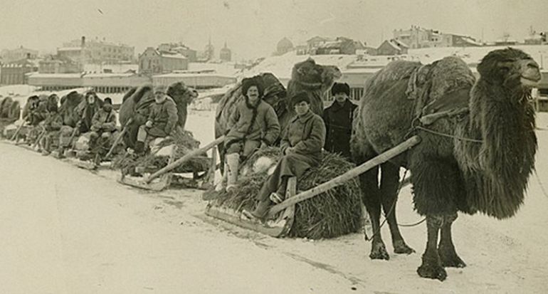 Транспортна колона на Американската Помощна администрация на замръзналата Волга в Царицин (днес Волгоград), 1921-а. Фото: Институт „Хувър“