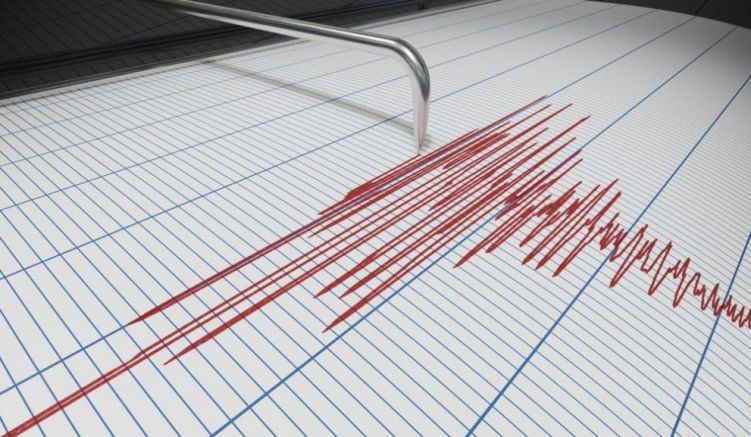 Мощно земетресение с магнитуд 7 1 по скалата на Рихтер разтърси