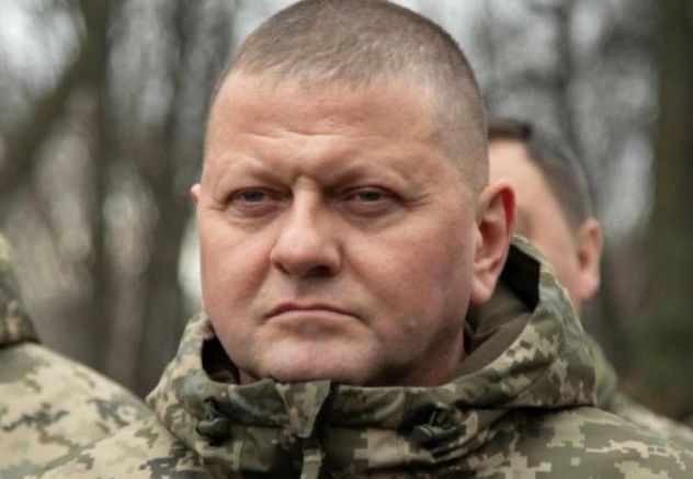 Главнокомандващият Въоръжените сили на Украйна Валерий Залужни заяви че работата
