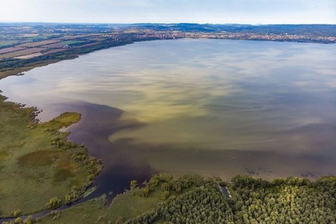 Варненско-Белославското езеро е замърсено на места десет пъти над стандартните