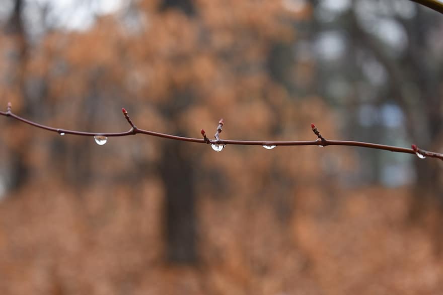 Ще се затопли, но остава дъждовно на места