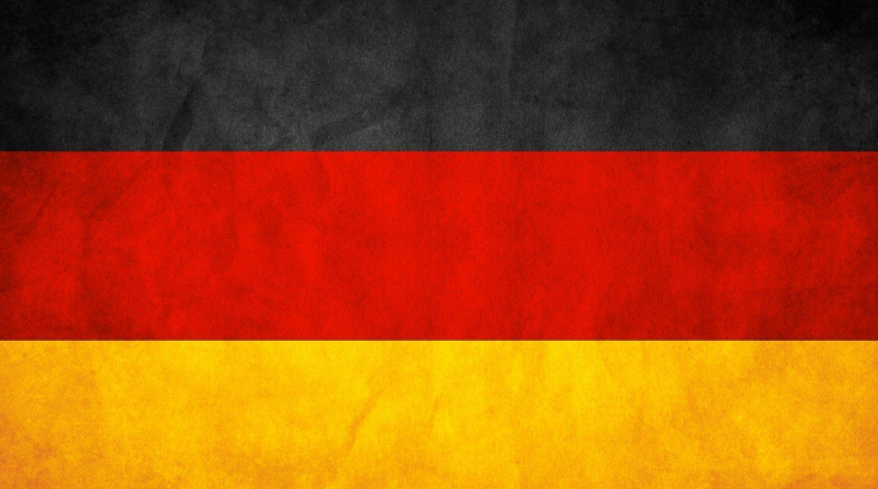 Второ денонощие в Берлин издирват мистериозна лъвица, властите с инструкции към гражданите