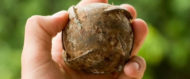 Касетъчни бомби: защо това оръжие е толкова коварно