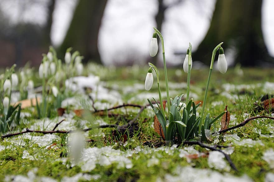 Пролетта идва, температурите тръгват с градус-два нагоре