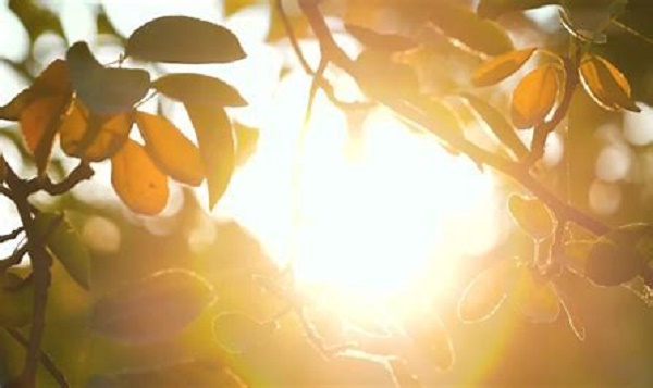 Слънчева събота, с температури до 29 градуса