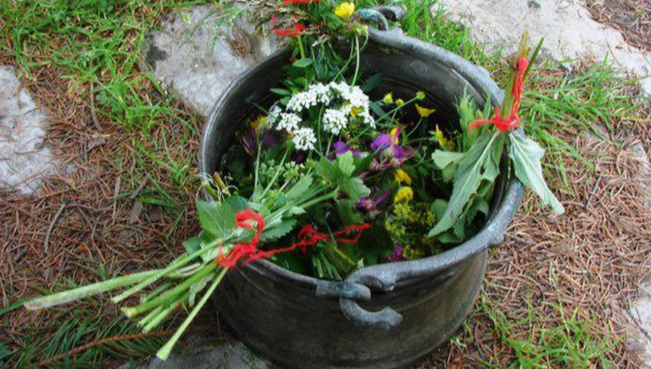Днес е Еньовден! Билките са най-лековити