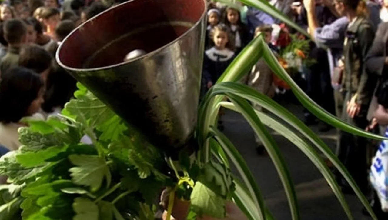 Първият звънец удари за близо 57 000 първолаци, врати отварят над 2300 училища