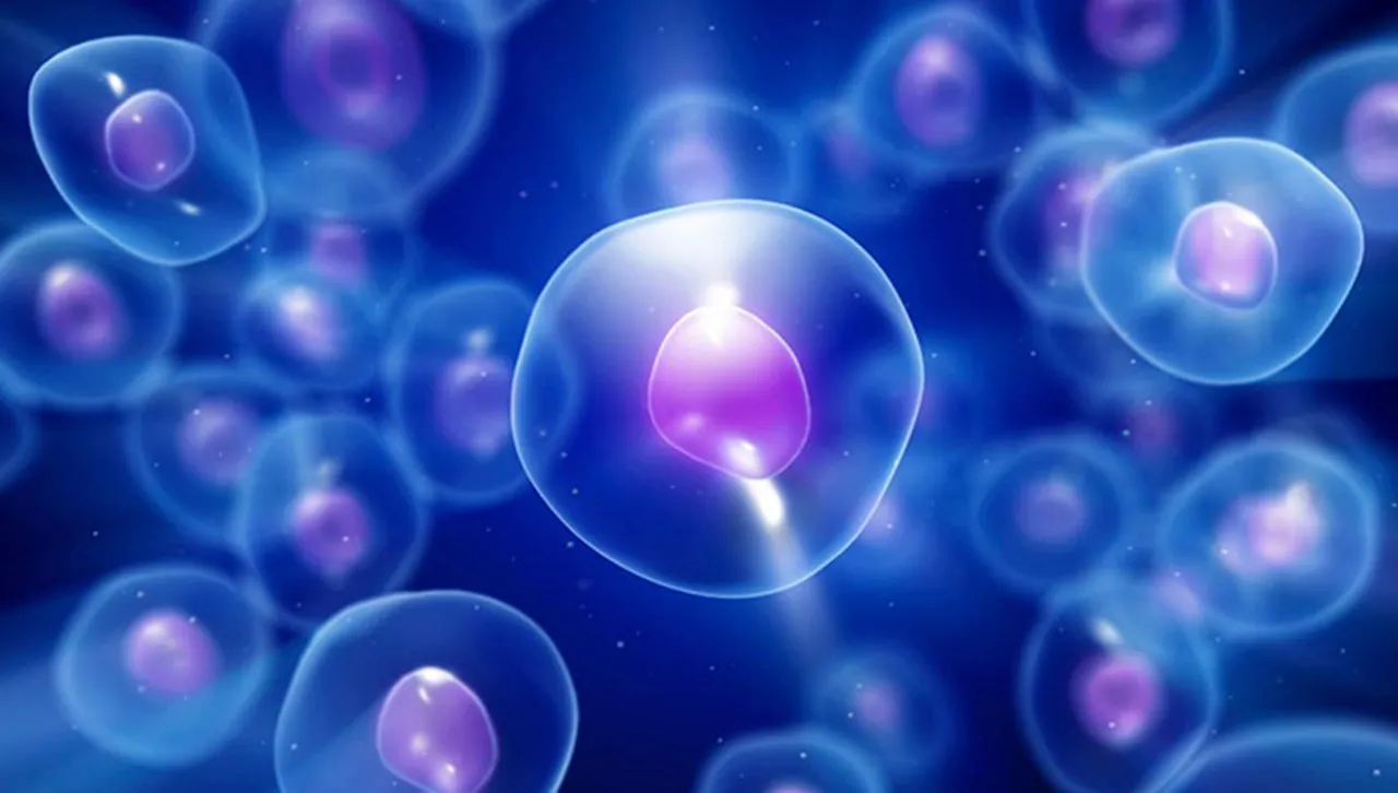 Учени разкриха механизъм за забавяне на стареенето