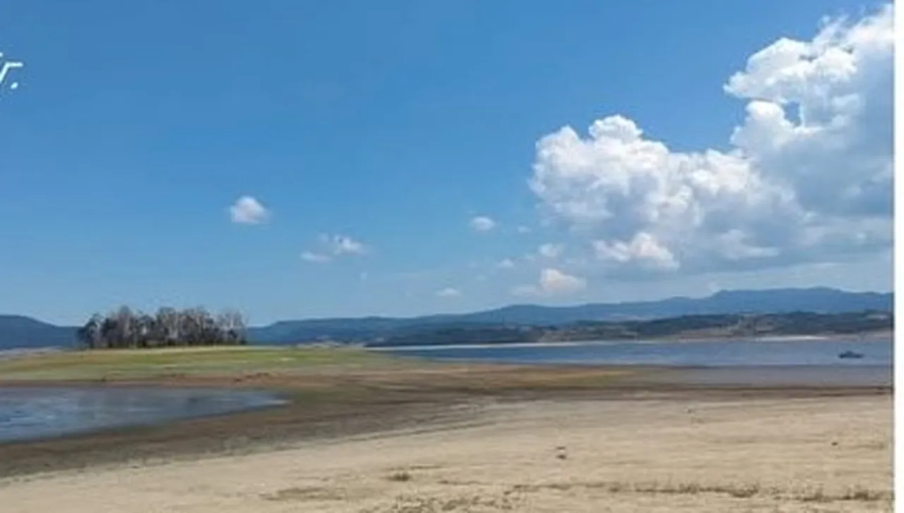 В Язовир Батак масово измряха риби заради спаднало от сушата ниво 