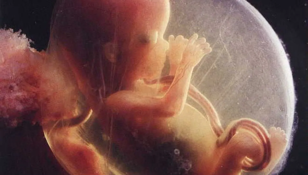 Учени преобразуваха човешки кожни клетки в яйцеклетки и ги оплодиха 