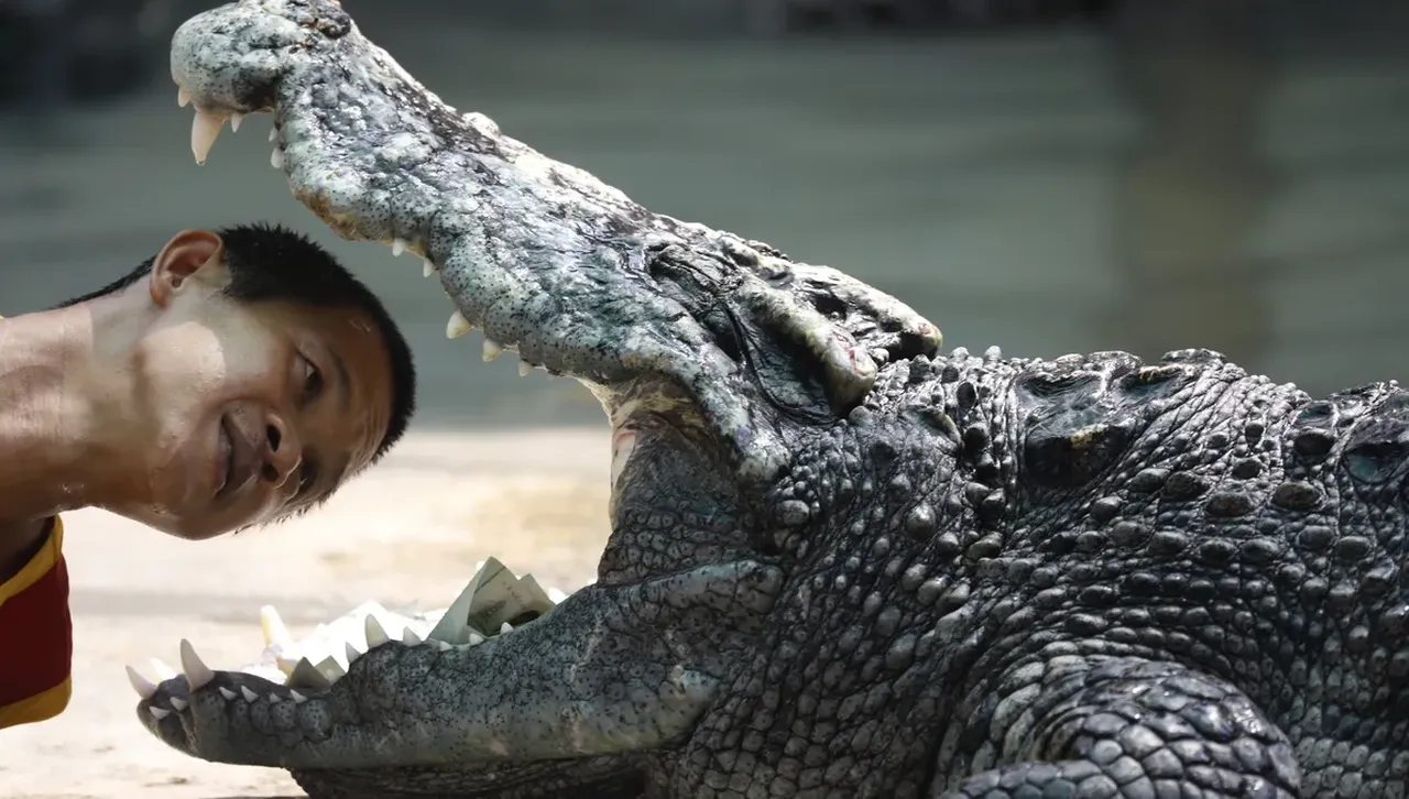 Преди 70 милиона години суперхищен крокодил разкъсвал динозаврите в Патагония