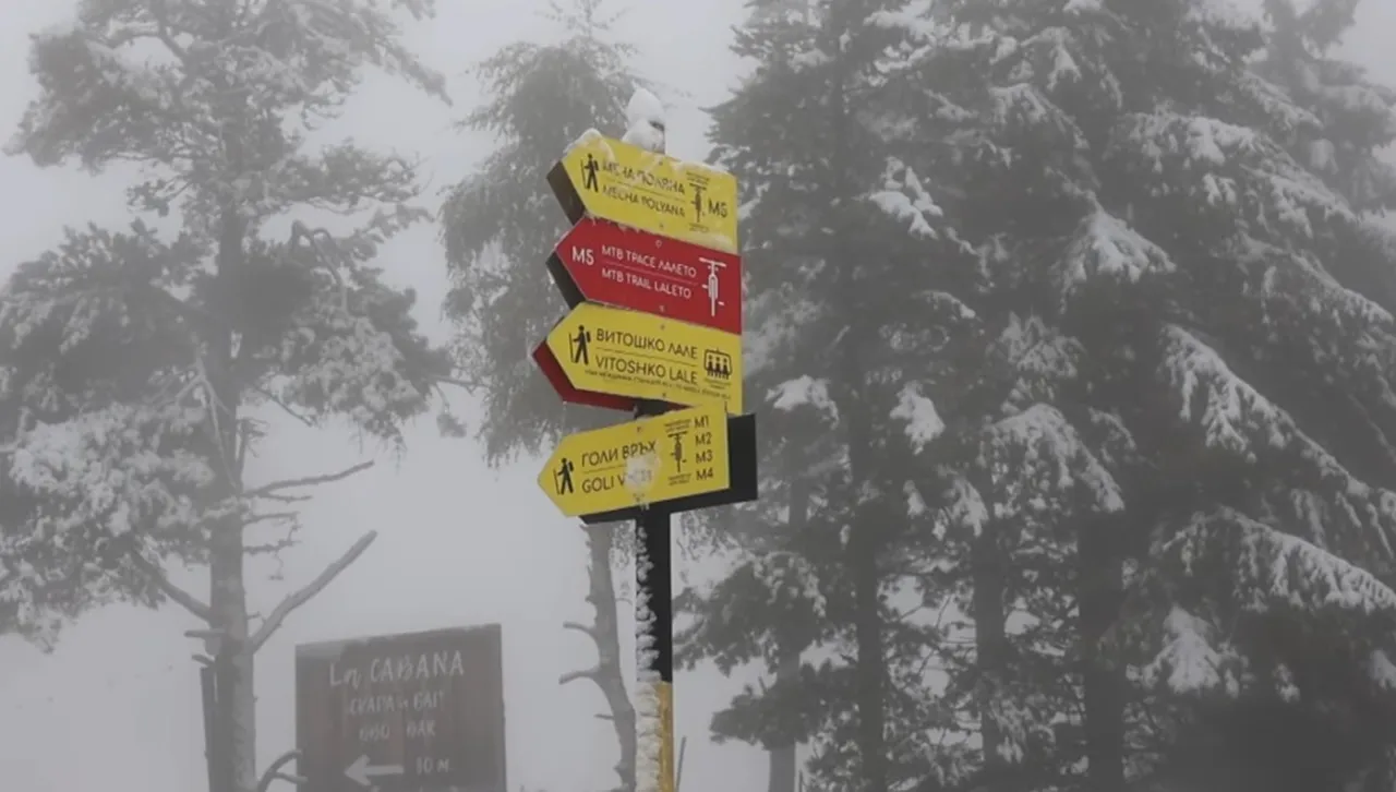 Дъждът ще преминава в сняг над районите с височина над 1000 м в неделя, 30 ноември