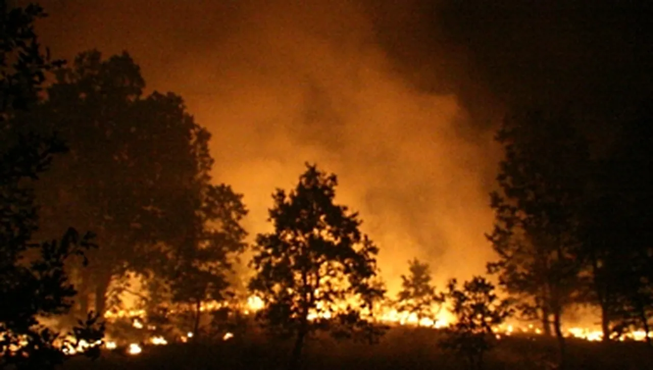 Арестуваха 29-годишен мъж за опустошителните пожари в Лос Анджелис през януари