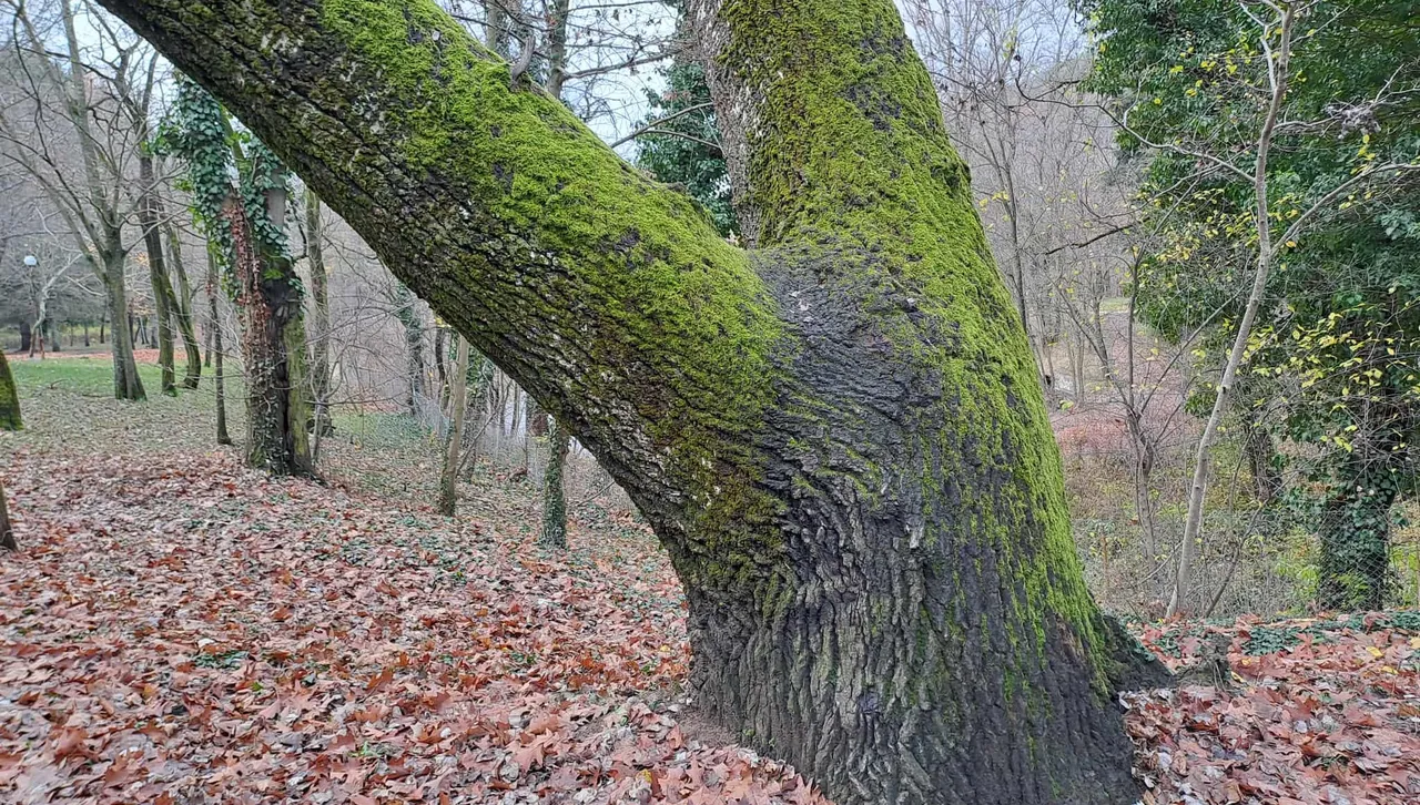 Слънцето в София изгрява в 7 ч и 56 мин