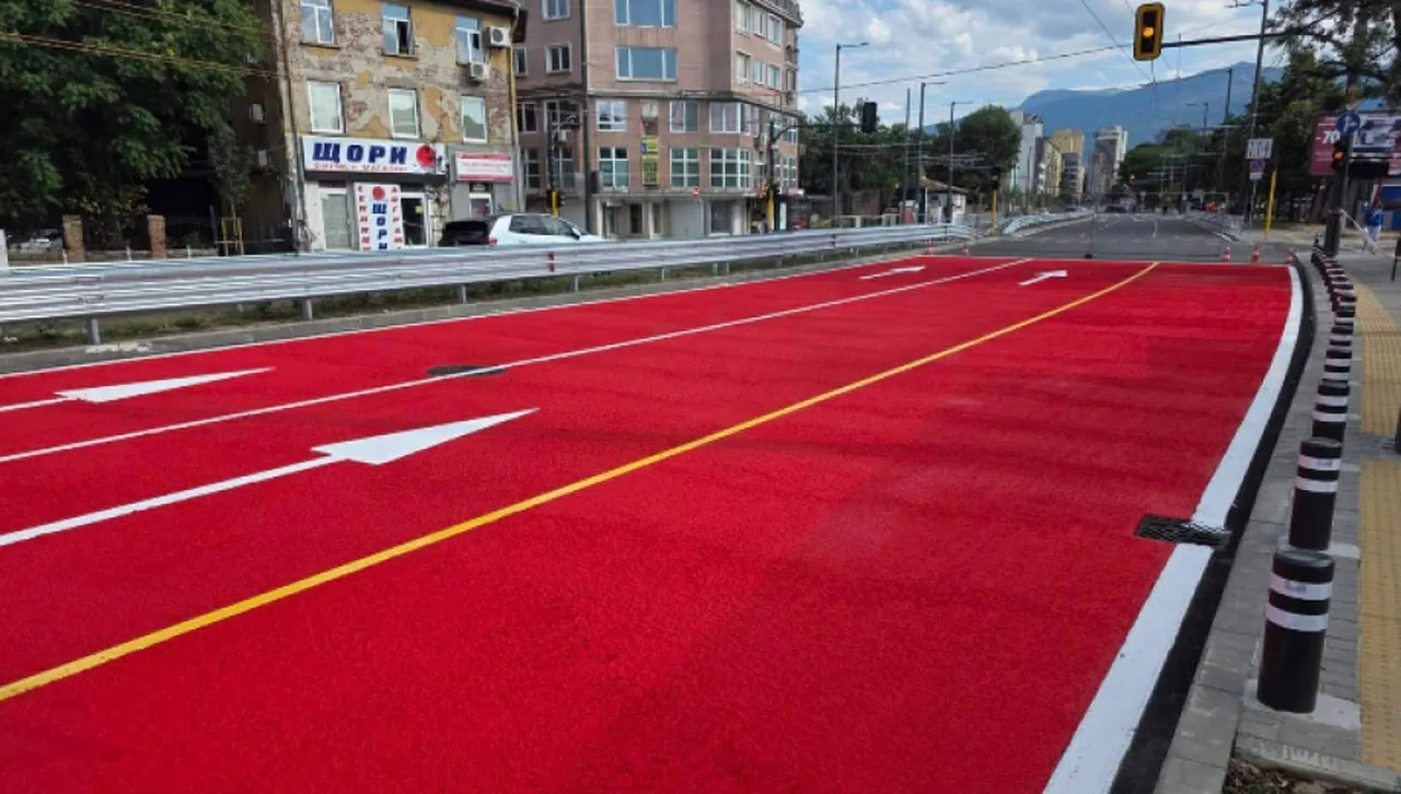 "Опълченци за София" пак излизат на протест, този път срещу пускането на движението по "Опълченска"