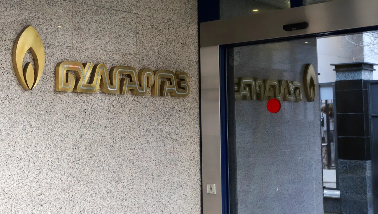 "Булгаргаз" се опитва да преодолее тежестта от "Боташ", бавно свива финансовите загуби