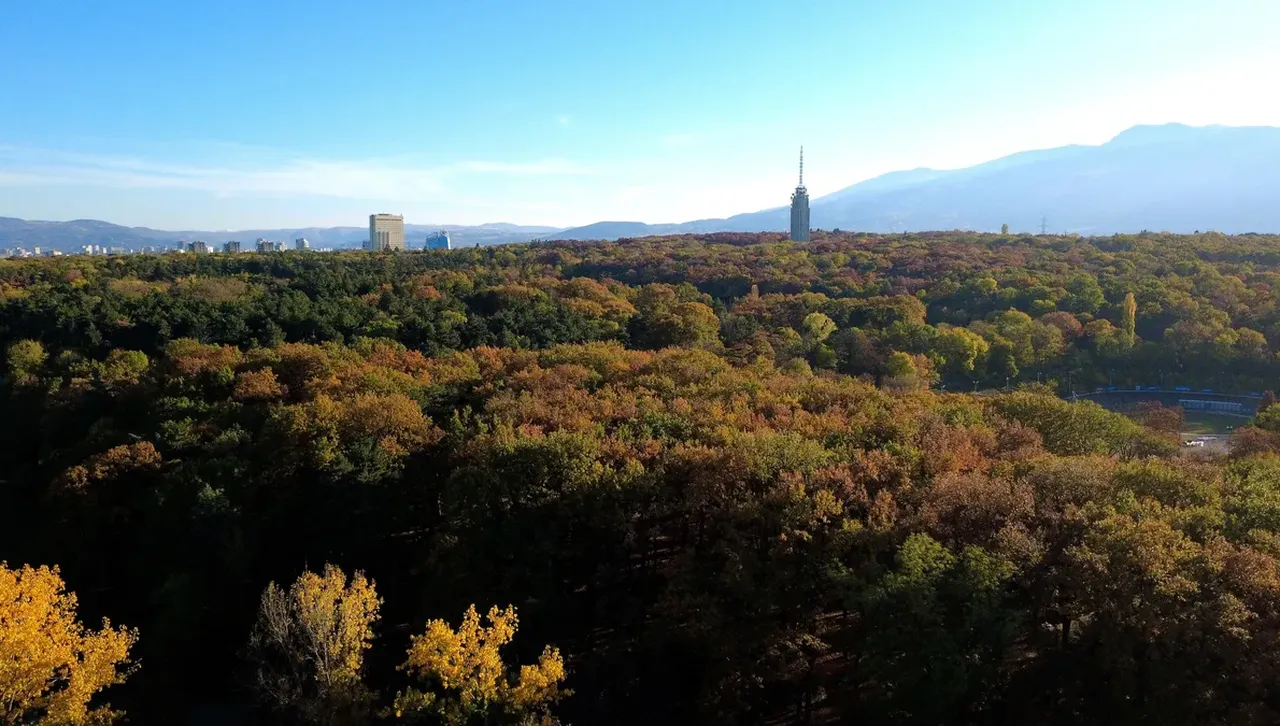 Максималните температури ще са между 7° и 12° по ниски